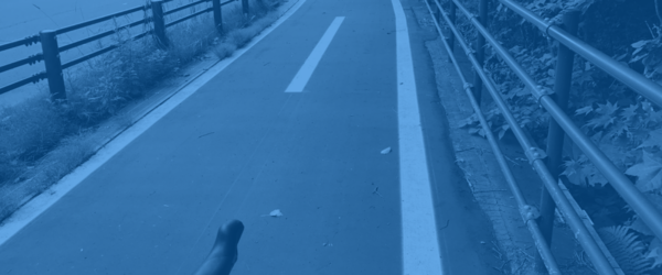 Building a Shared System of Trust