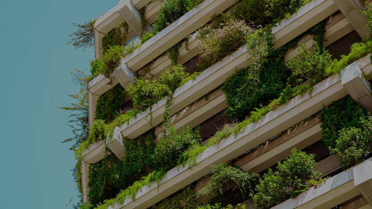 CaseStudy_ListingImage_JLL