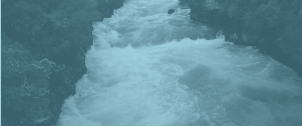Moving Upstream: Digitizing & Standardizing Customer Data at Source