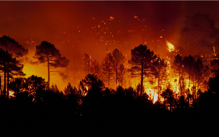 Blog Hero Image Small - Fire Hazard Maps and Their Critical Role in Wildfire Protection